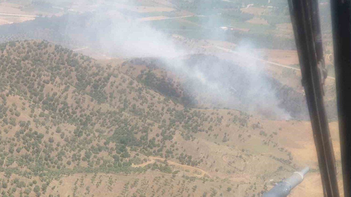 İzmir'de orman yangını: Çok sayıda helikopter müdahale etti