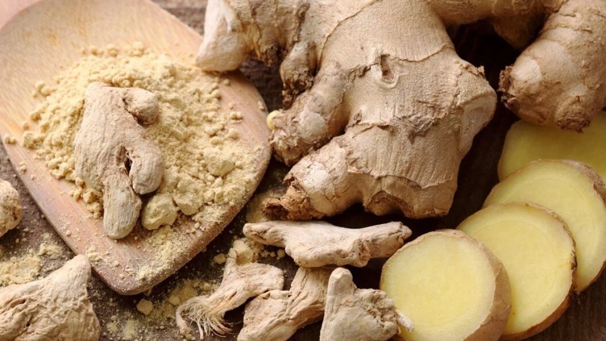 Zencefil Faydaları: Sağlığınıza Destek Olacak Şifalı Bir Bitki