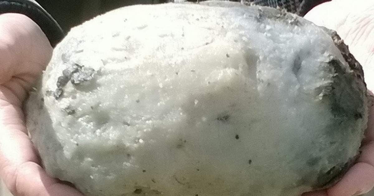 Karaya vuran balığın içinde buldu servete kondu! Değeri tam 14 milyon lira