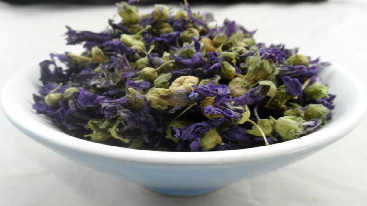 Ebe Gümeci: Doğal Bir Çözüm Yolu