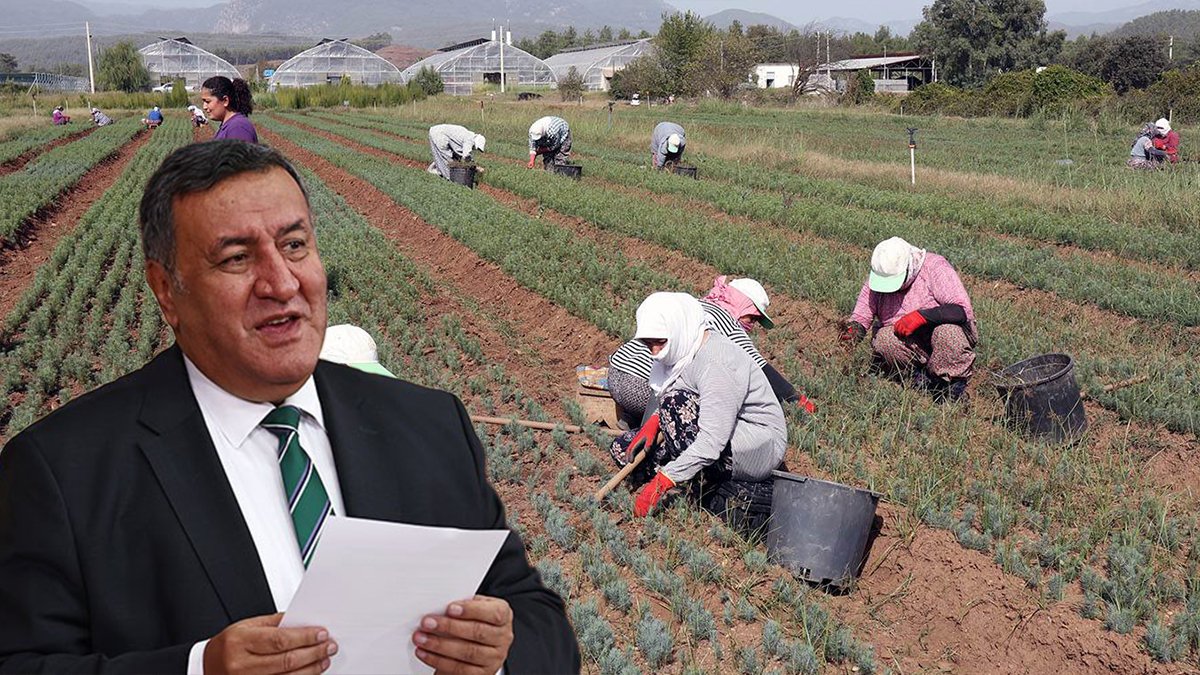 CHP'li Gürer'den 'SGK primi' vurgusu: Tarım sektöründe istihdam azalıyor