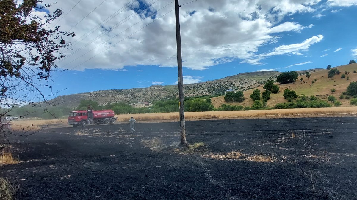 Tunceli'de çıkan yangında 10 dönümlük buğday tarlası adeta küle döndü