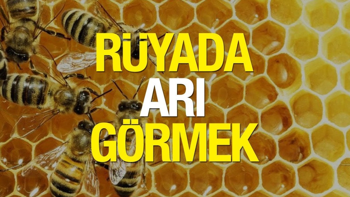 Rüyada Arı Görmek: Anlamı, Yorumları ve İlginç Gerçekler