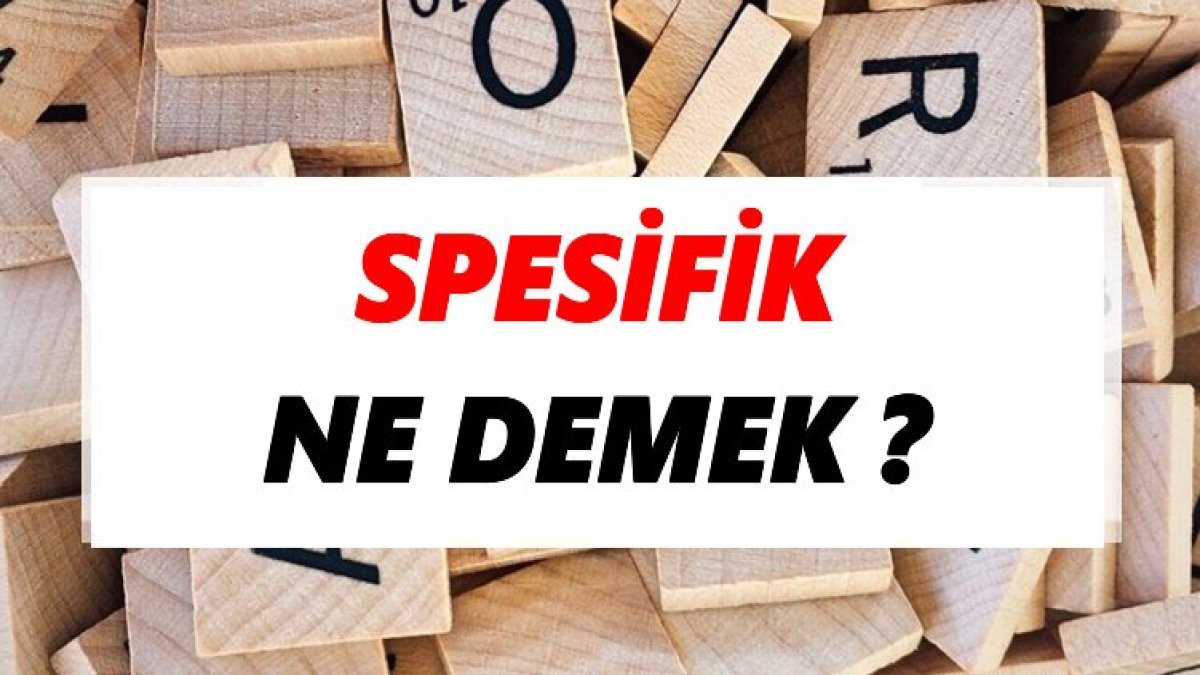 Spesifik Ne Demek? Detaylı Bir İnceleme