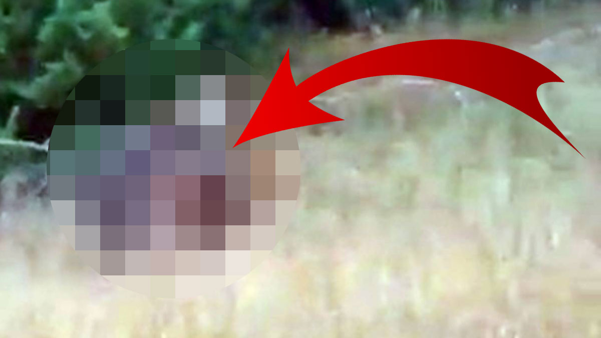 Bakanlığa bağlı kamu kurumundan paylaşılan görüntü heyecan uyandırdı! 'Olağanüstü an' notu düşüldü, yüzlerce beğeni aldı