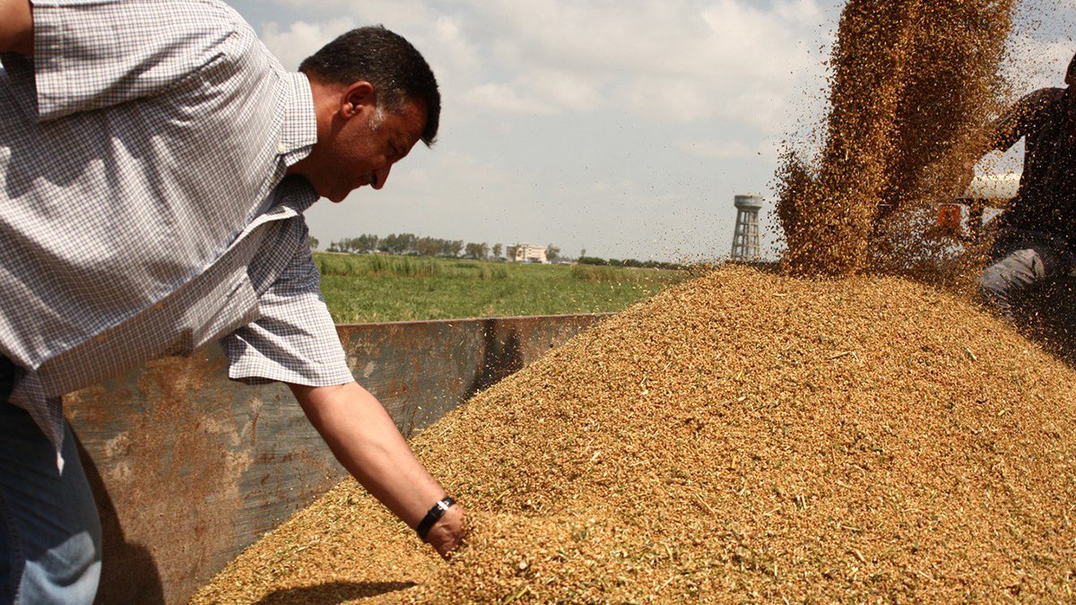 CHP'li Gürer, çiftçinin sorunlarını gündeme getirdi: İthal buğday çözüm değil