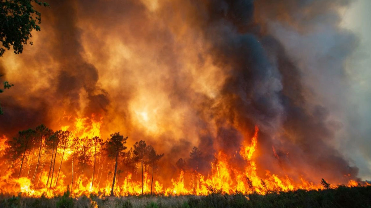 Muğla Valiliği'nden sıcak hava ve yangın uyarısı