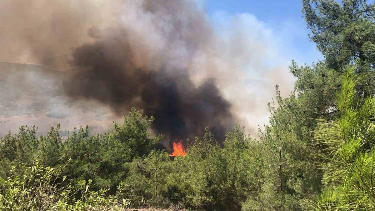 Adana ve Mersin'de orman yangını