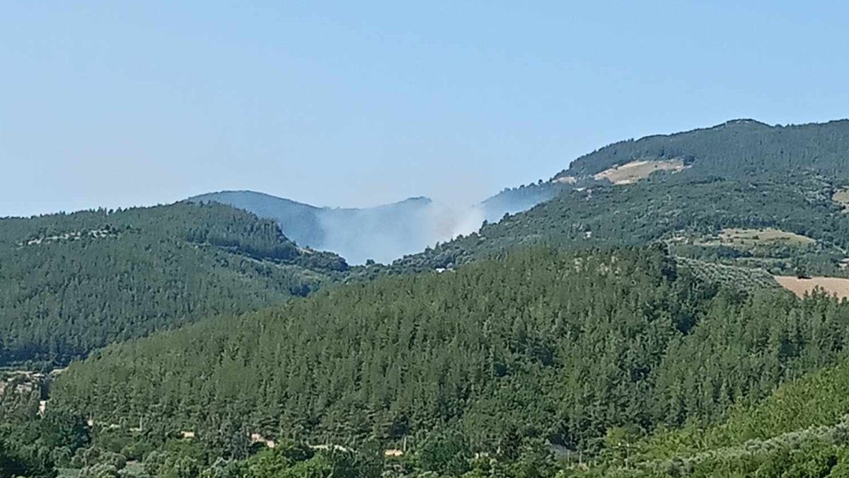 Osmaniye'de orman yangını söndürüldü