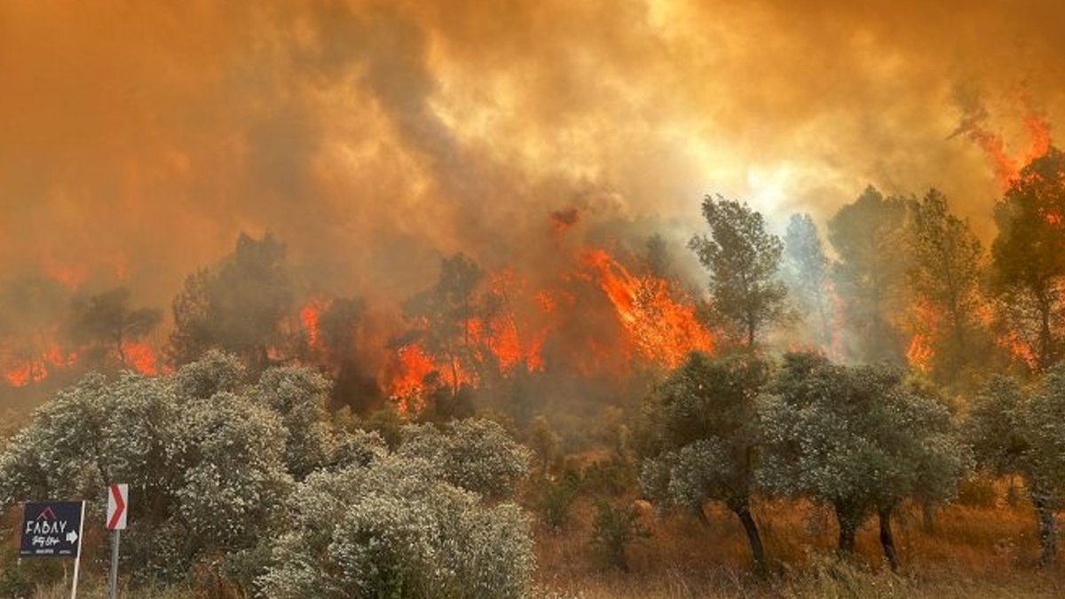 Büyük paniğe neden olmuştu! Muğla'daki yangın kontrol altına alındı
