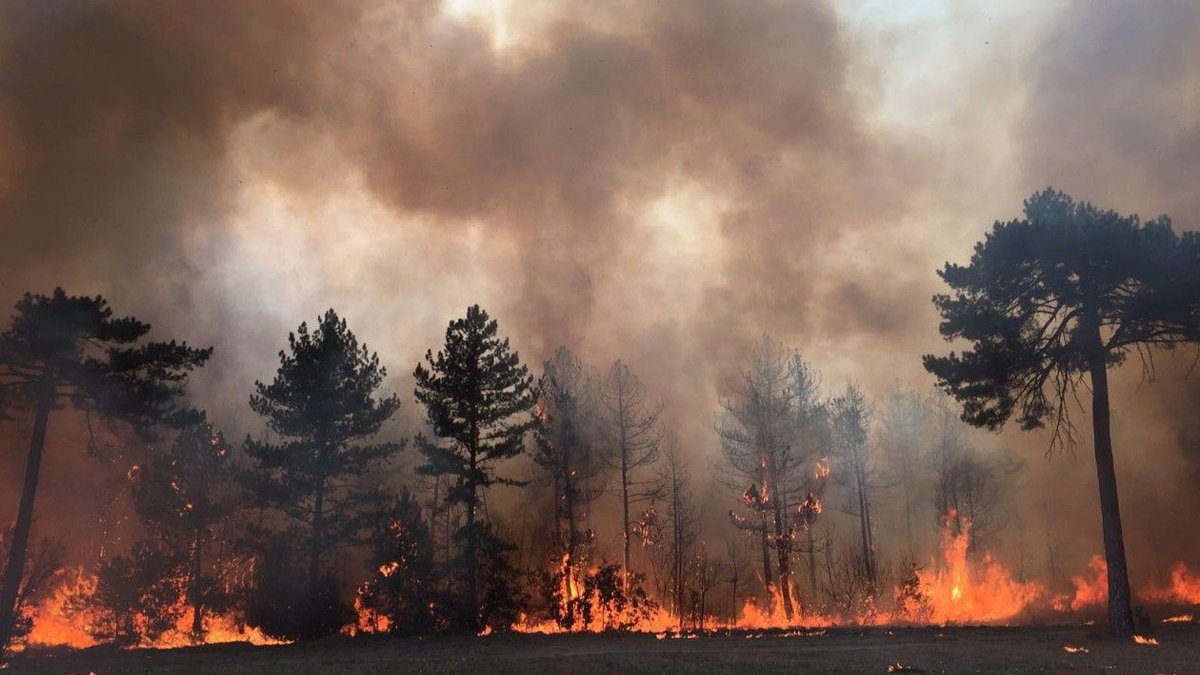 Bir ilde daha ormana girişler yasaklandı: Parklarda 'ateş' yasağı