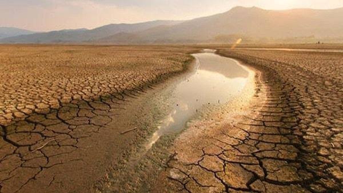 El Nino felaketini duyan markete koştu! Herkes o ürünü alıyor: Artık bulamayacaksınız