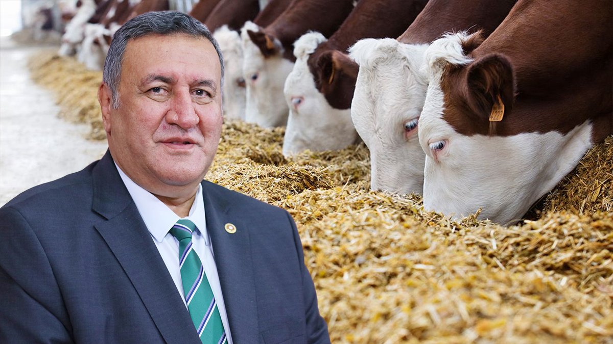 CHP'li Gürer, çiftçiye destek verilmesini istedi: Yemdeki fiyat artışının önüne geçilmeli
