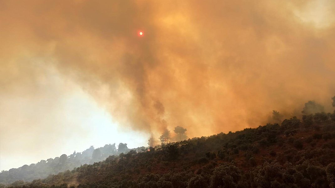 160 hektar alan kül oldu: İşte Milas'taki yangının sebebi