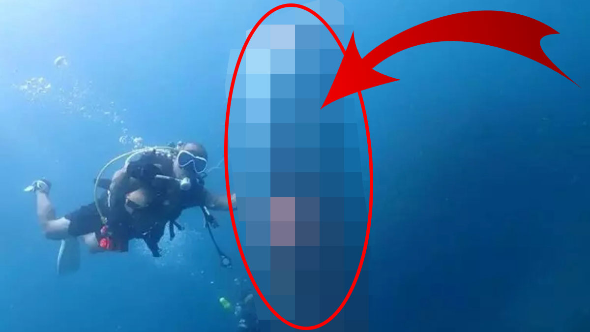 Deprem habercisi olduğuna inanılıyor! 2 metre uzunluğunda, ölü ele geçiriliyorlar, bilim insanlarını bile korkuttu