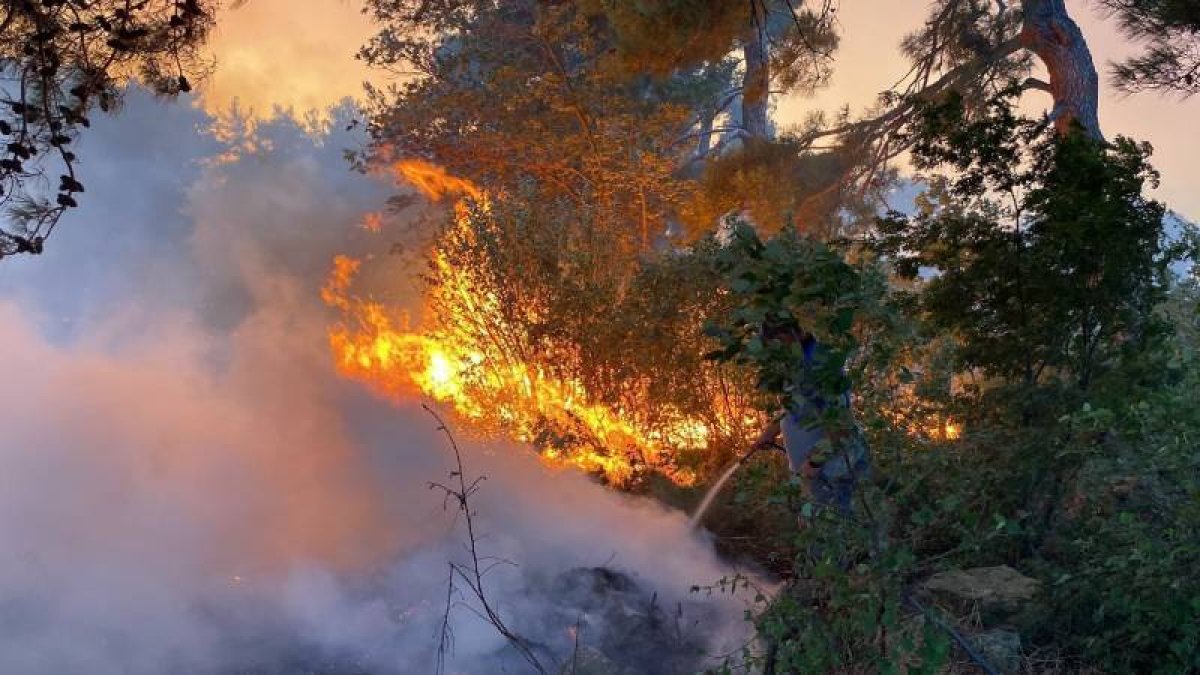 Çanakkale'de orman yangını