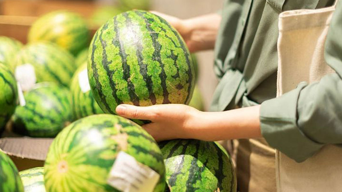 İyi karpuz seçmek meğer bu kadar kolaymış! Sulu, lezzetli, olgun karpuzu anlamanın püf noktası