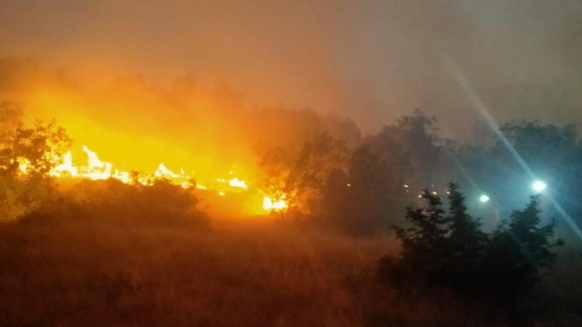 Diyarbakır alevlere teslim oldu! Yangın 20 saat sonra kontrol altına alındı