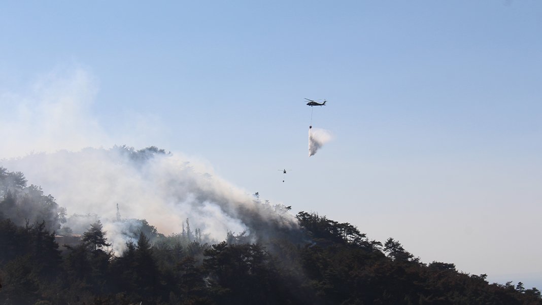 Bakan Yumaklı duyurdu: Hatay-Belen'deki yangın kontrol altında