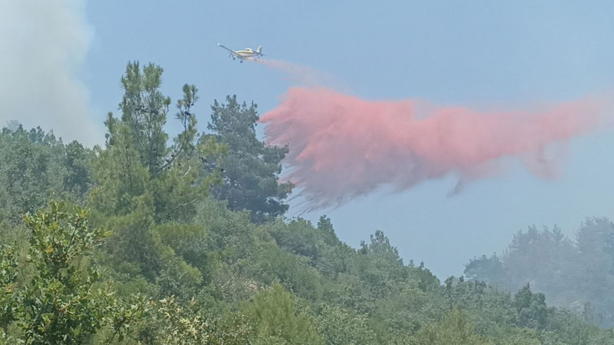Çanakkale'de 3 gün süren orman yangını kontrol altına alındı