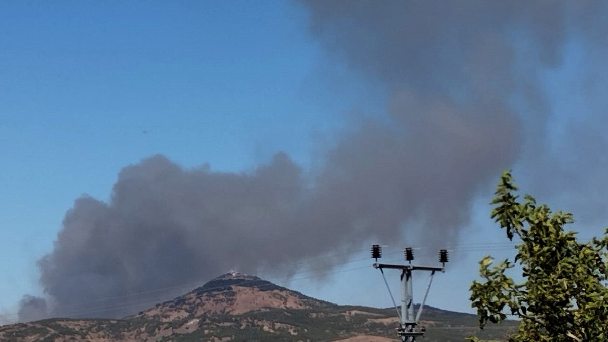 Gaziantep Nurdağı'nda orman yangını