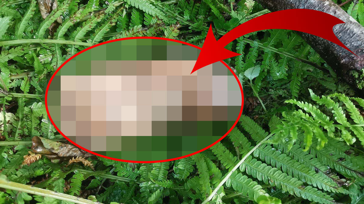 Dere kenarında bulundu, mahalle ayağa kalktı! Belediye, hoparlörlerle vatandaşları DNA testine çağırdı