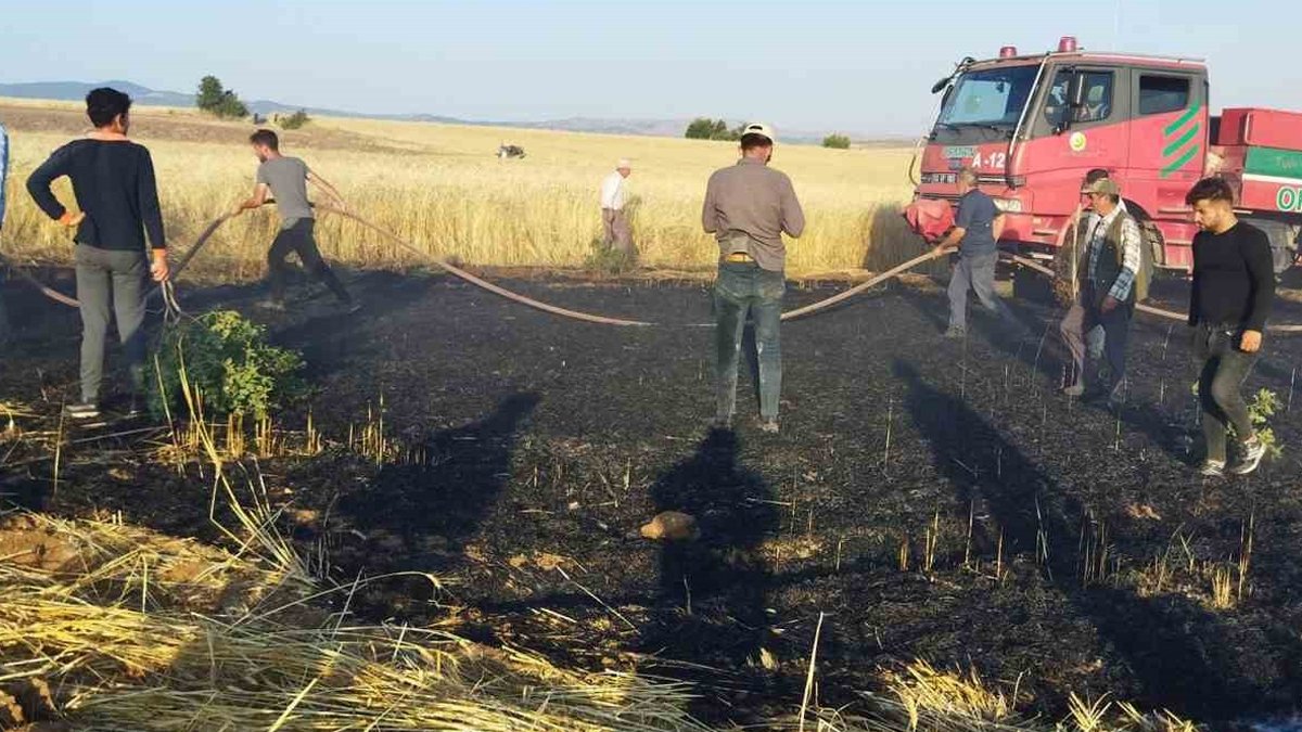 Afyonkarahisar'da iki ayrı noktada yangın: 30 dekar buğday, yanarak kül oldu