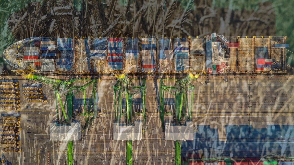 Anlaşma bitti, gözler Köstence Limanı’na çevrildi: Ukrayna tahılı Romanya üzerinden gidecek