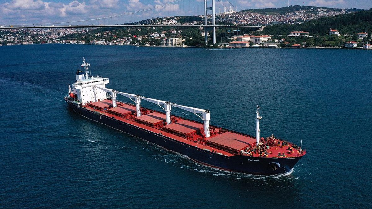 Rusya'dan tahıl anlaşmasına dönmek için 7 şart