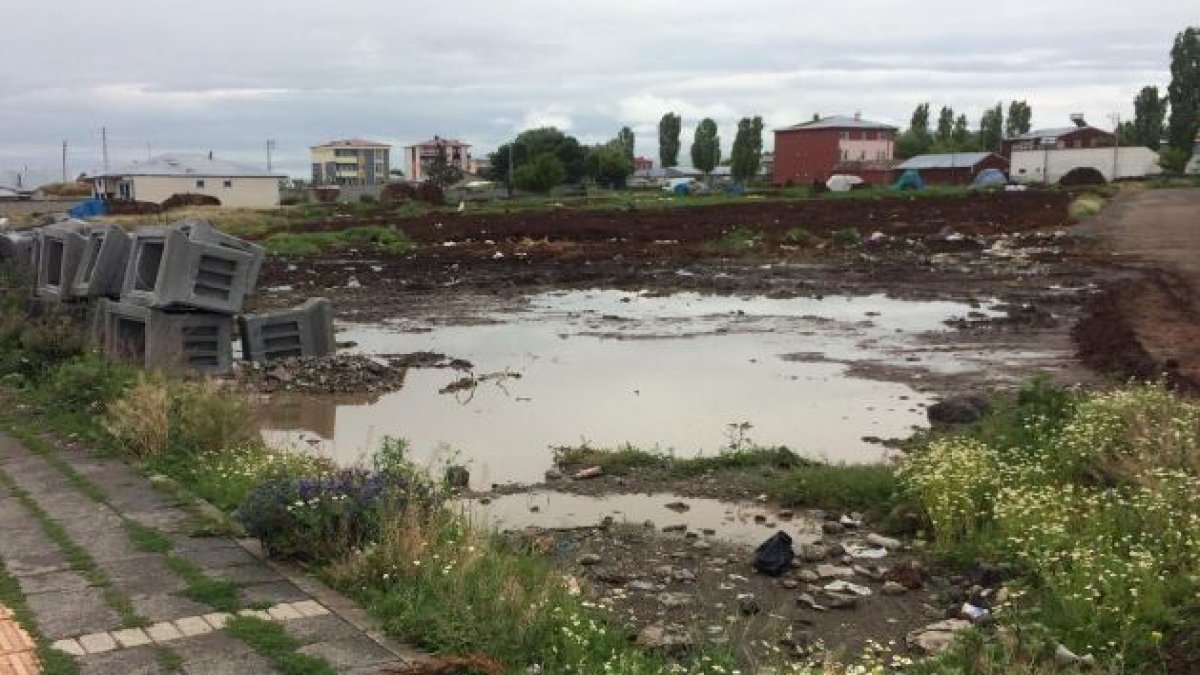 CHP'li Alp'ten tepki: Kars sokaklarının hali içler acısı