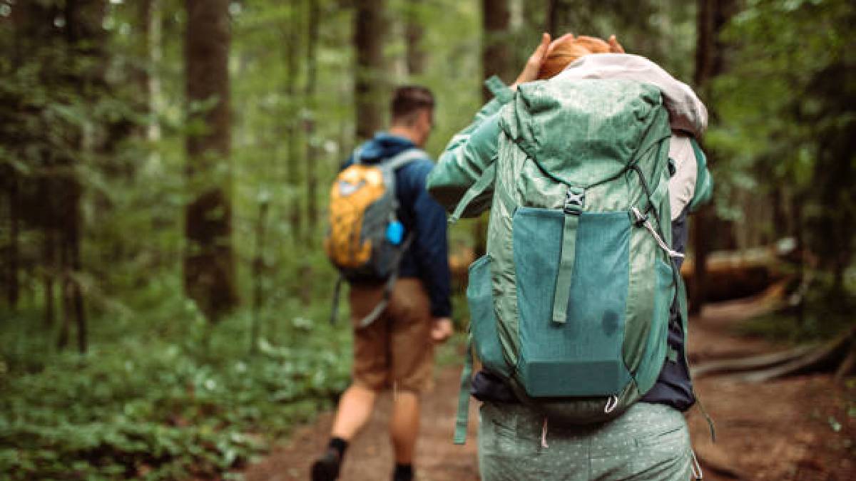 Van, Siirt, Mardin, Diyarbakır, Muş’ta ormanda gezerken 100 kez düşünün! Boyu 25 santim, bir anda üstünüze atlıyor