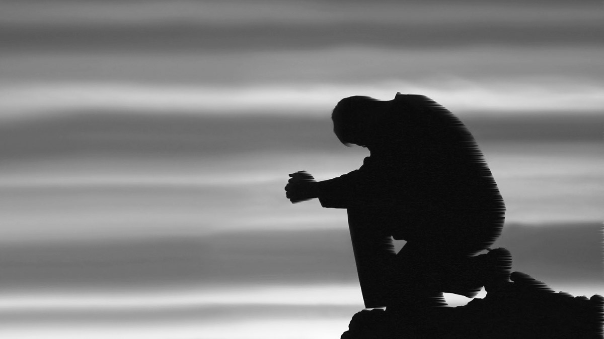 Siyasal eğilimlerin tahakkuku