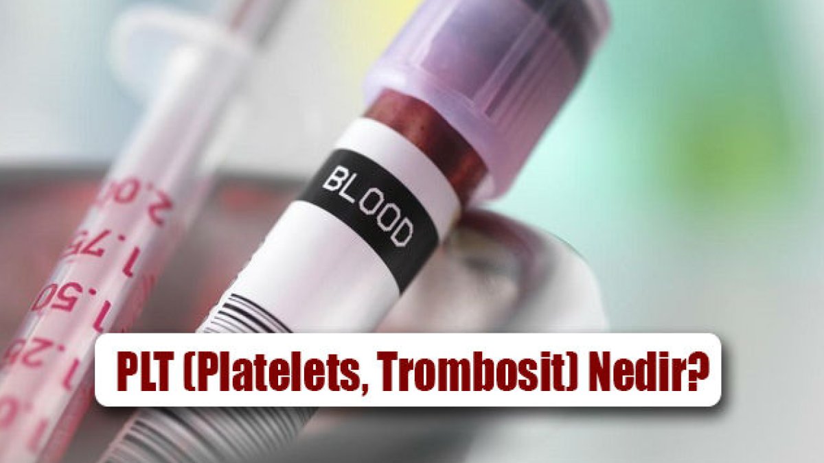 Trombosit Nedir: Kanın Önemli Bir Parçası