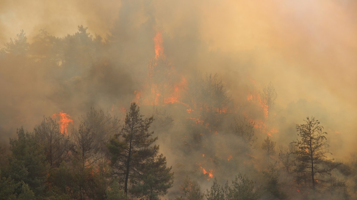 Hatay'daki orman yangını ekipler tarafından söndürüldü