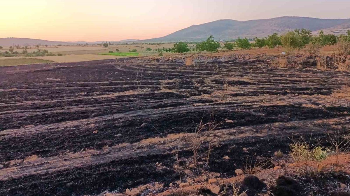 Hüyük’te tarla yangını: Arpa ekili arazi küle döndü