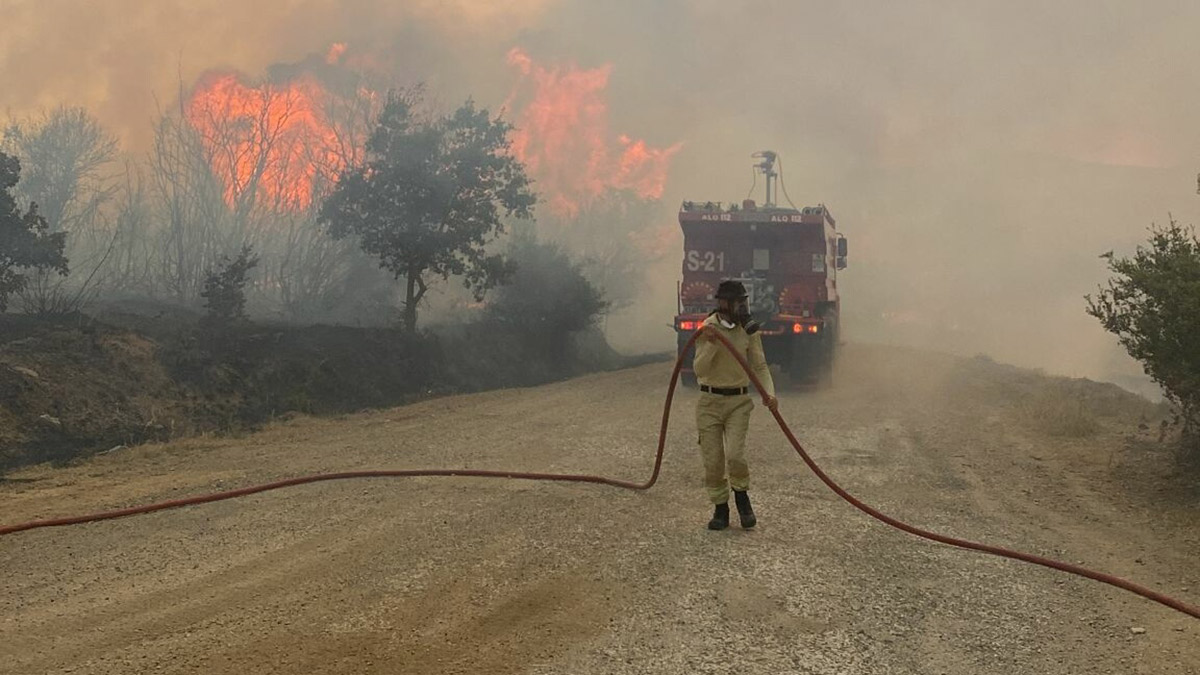 Çanakkale'de orman yangını! Havadan ve karadan müdahale ediliyor