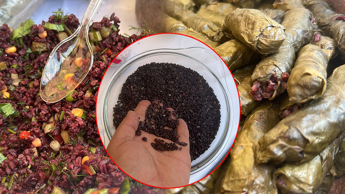 Duyan paket paket aldı! Dolma, sarma, pilav her şeye lezzet katıyor