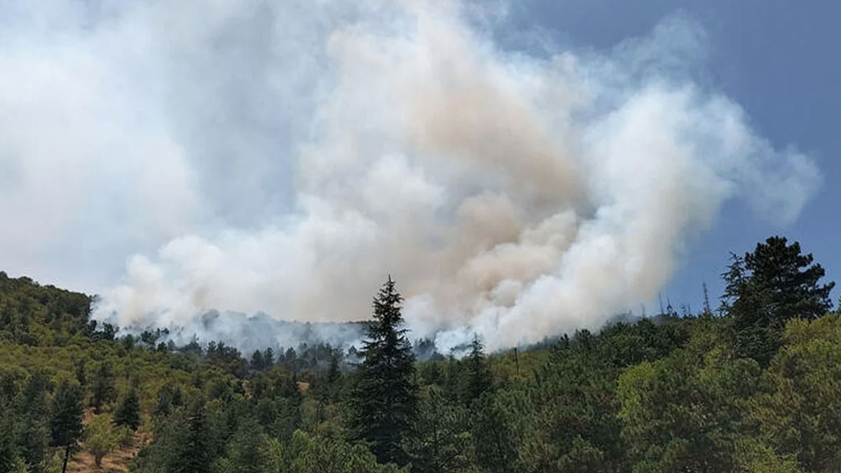 Afyonkarahisar'da orman yangını! Ekiplerin müdahalesi sürüyor