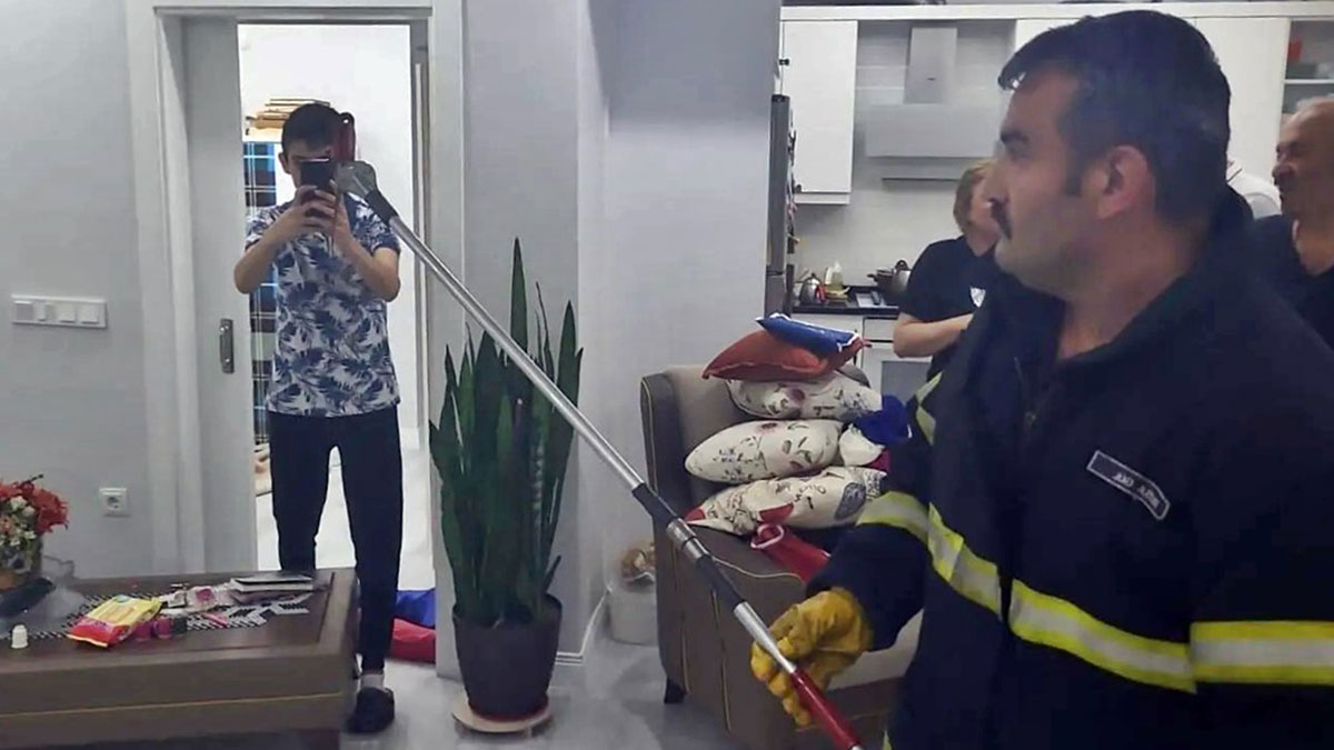 Piknikten dönüp çantayı açınca korkudan küçük dilini yuttu! Pikniğe giden herkesin başına gelebilir