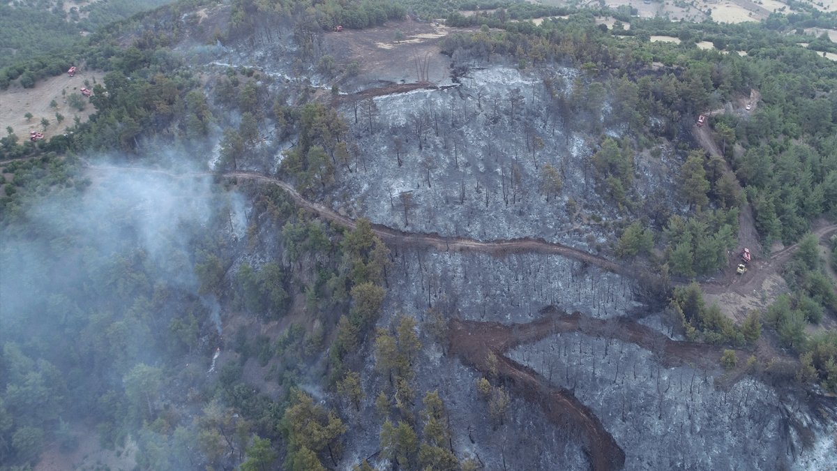 Çanakkale'de orman yangını: Havadan müdahale de başladı