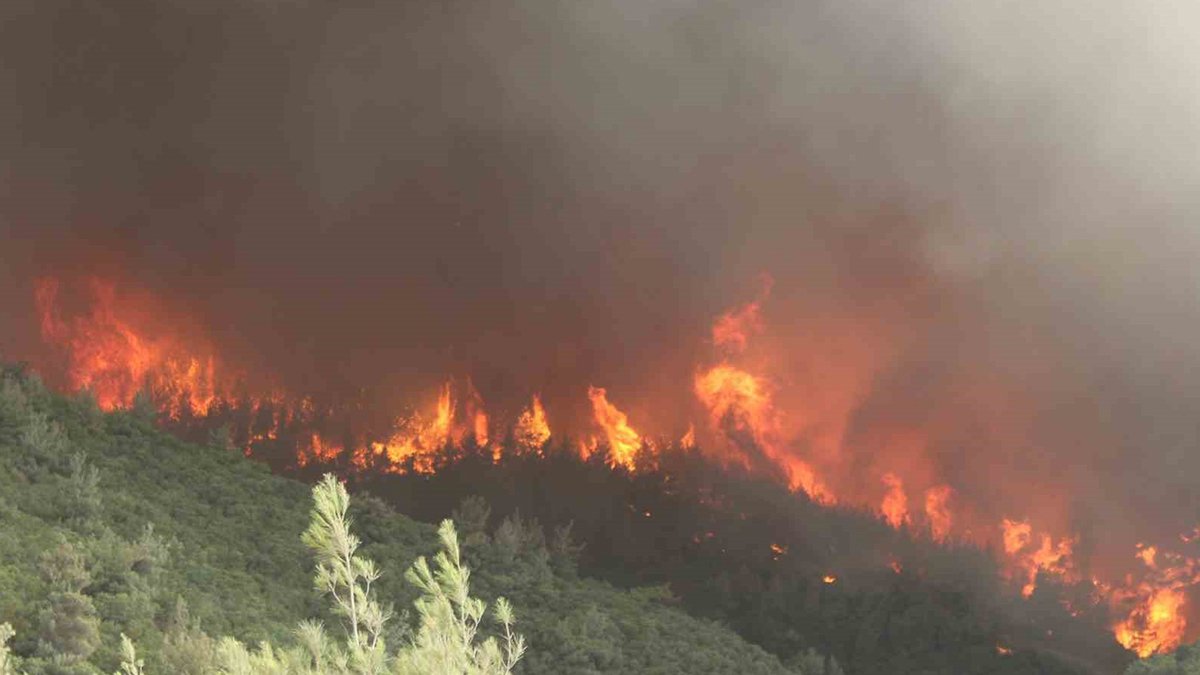 İzmir Kınık'taki orman yangını kontrol altına alındı