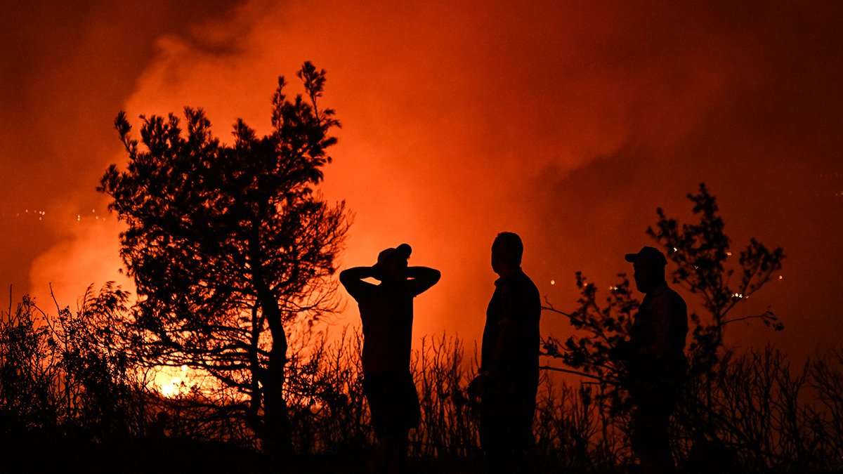 2025’te 81 bin 473 hektar orman zarar gördü