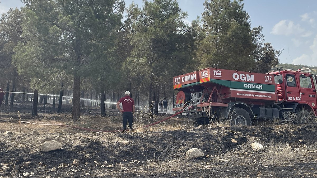 Tarlada çıkan yangın ormanlık alana sıçradı