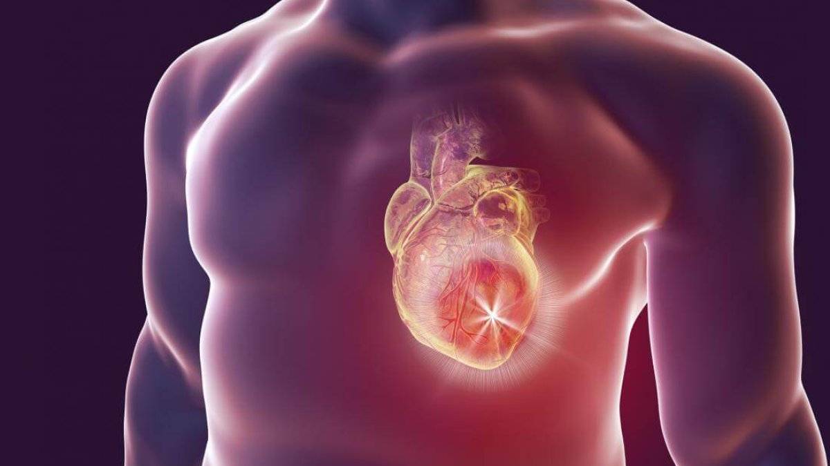 Anjiyo Nedir: Kalp Sağlığı İçin Önemli Bir Tanı Yöntemi