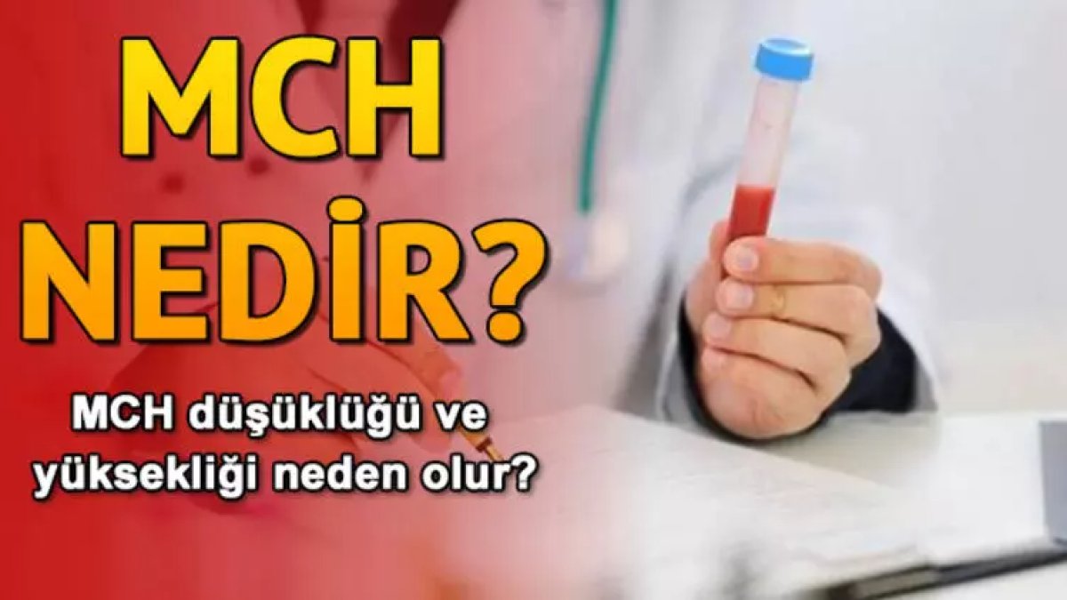 MCH Düşüklüğü: Kan Hücrelerinin Anlamını Keşfetmek
