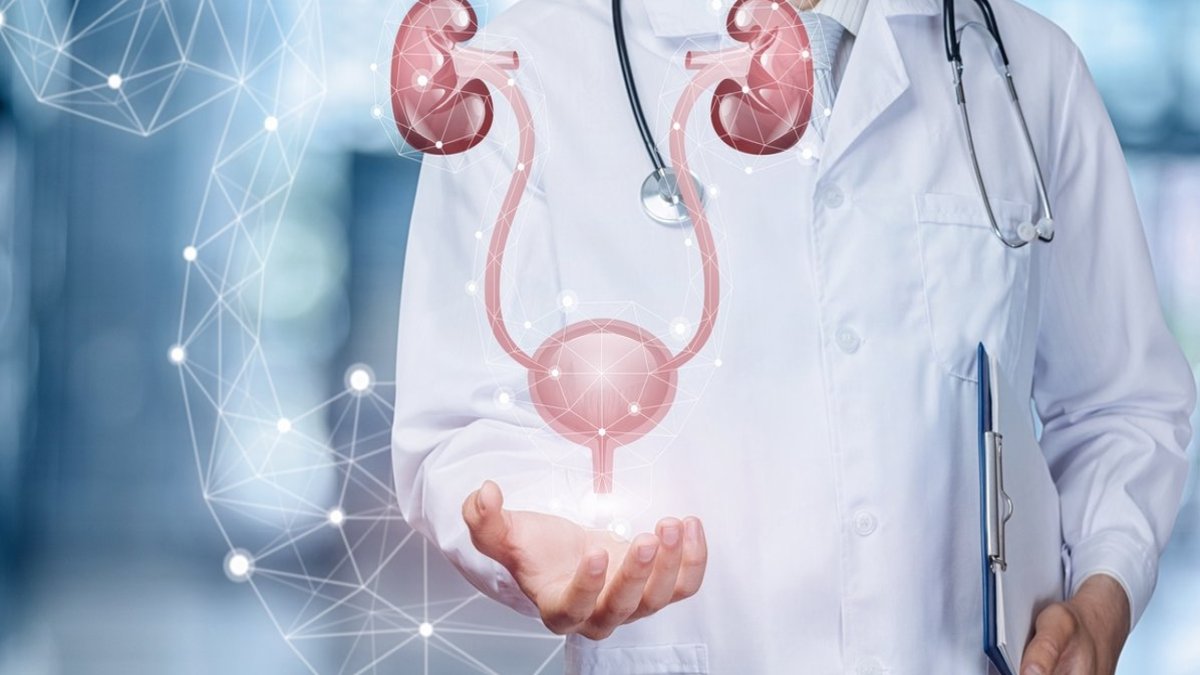 Üroloji Nedir: Erkekler ve Kadınlar İçin Önemli Bir Sağlık Dalı