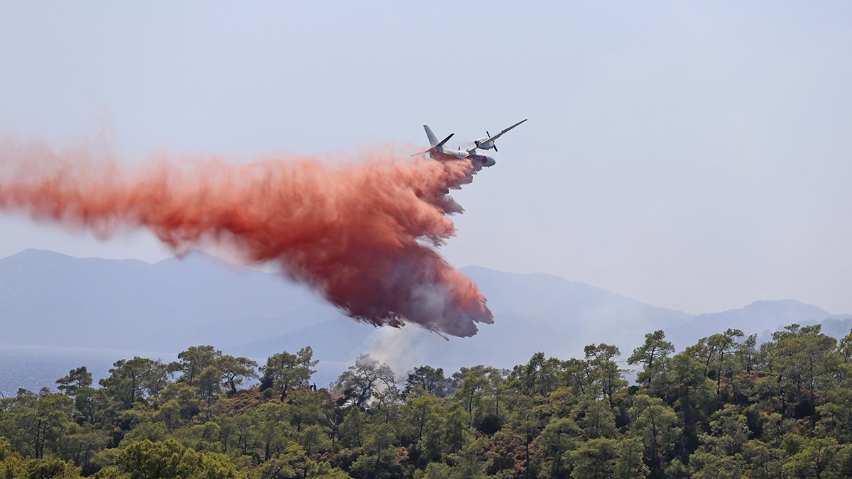 Muğla Fethiye'deki orman yangını kontrol altına alındı
