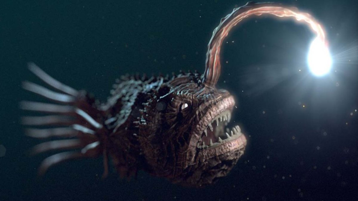 Fener Balığı: Derinlerdeki Parlayan Güzellik