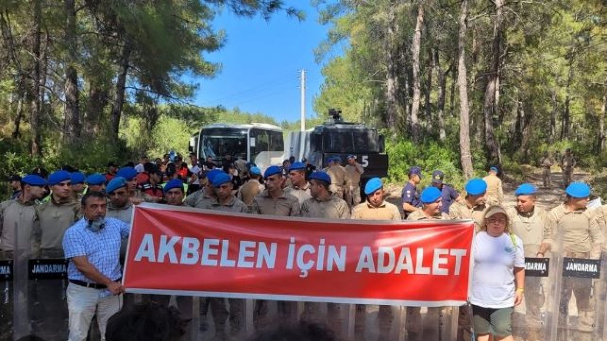 Prof. Kantarcı'dan Akbelen uyarısı: Bodrum'u susuz bırakır