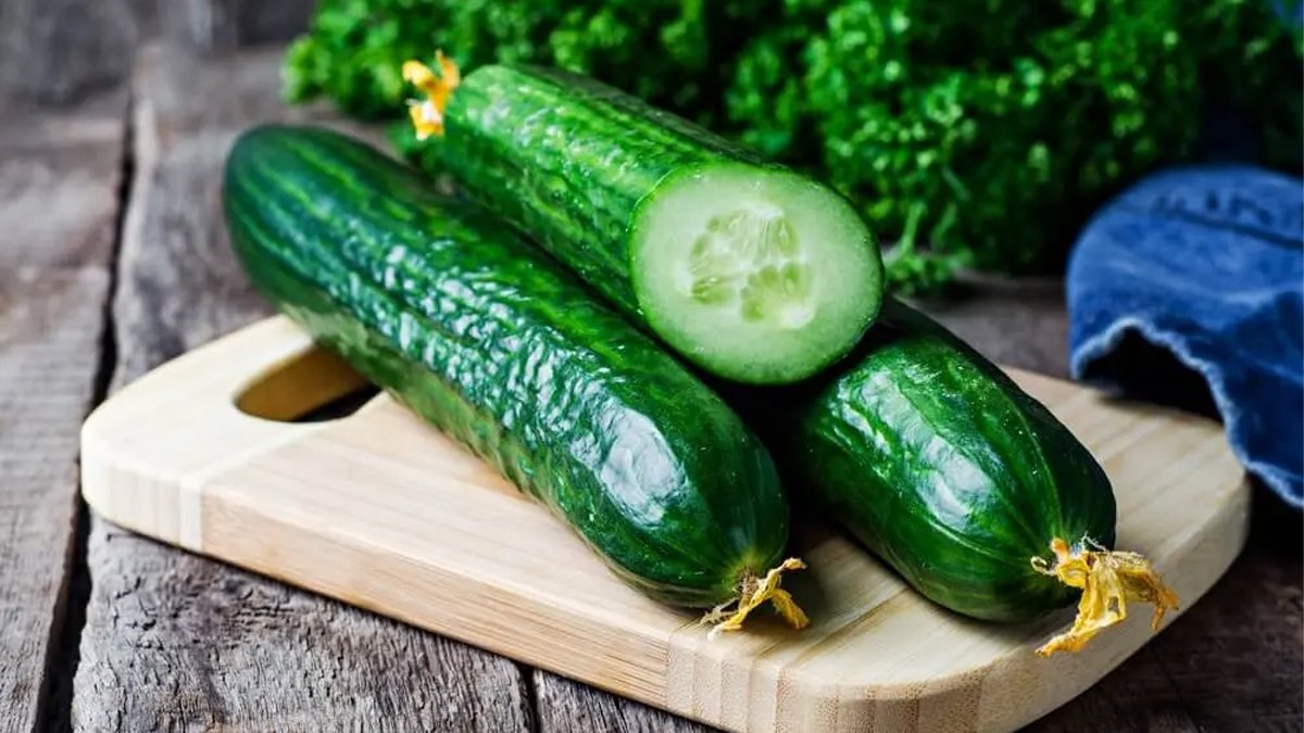 Yumuşayan salatalıkları çıtır çıtır yapan basit yöntem! Çöpe atmak yerine bunu deneyin